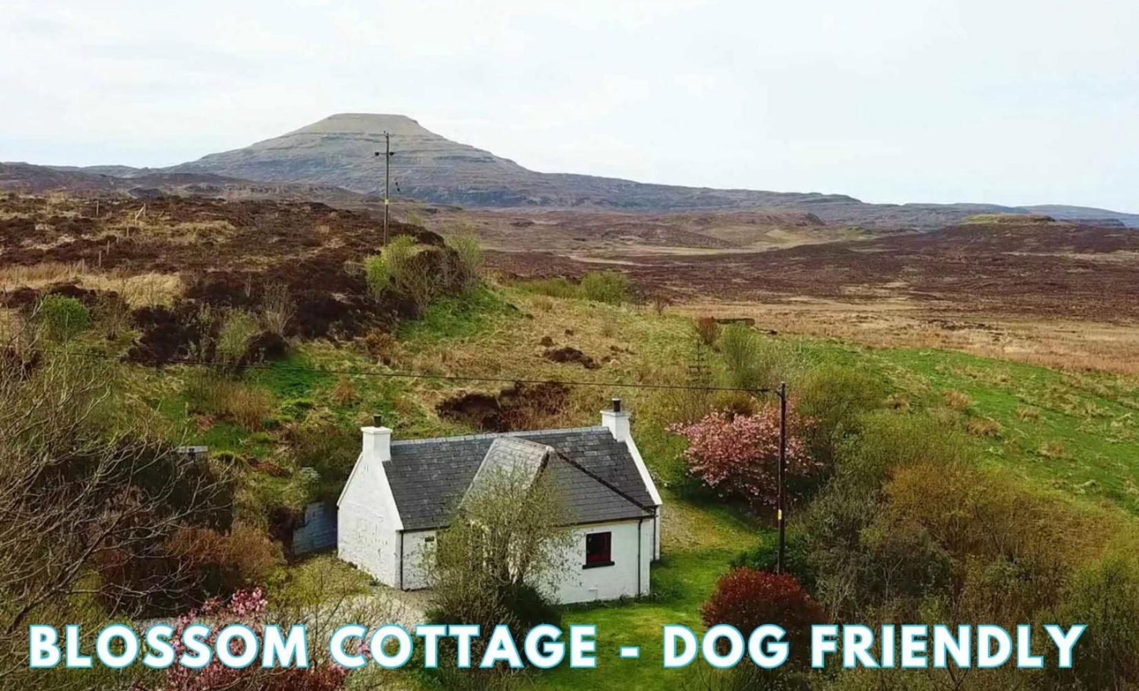 Araucaria Croft Skye Βίλα Dunvegan  Εξωτερικό φωτογραφία